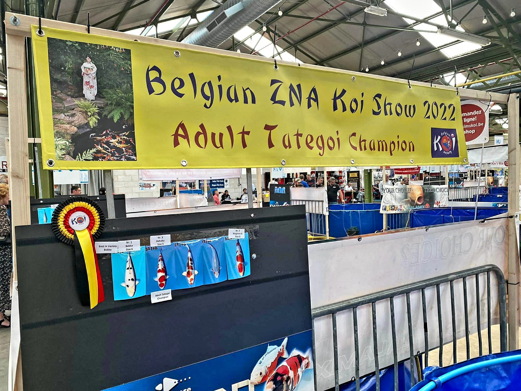 ZNA BELGIAN KOI SHOW 2022