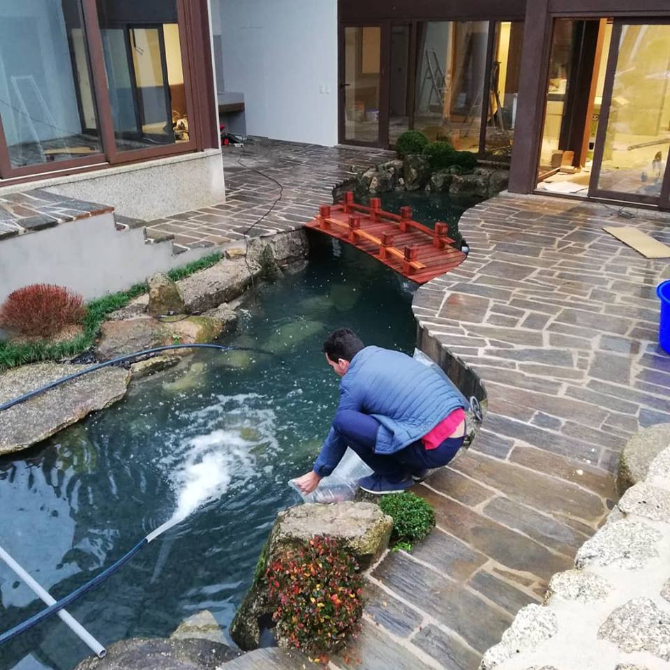 NEW PONDS