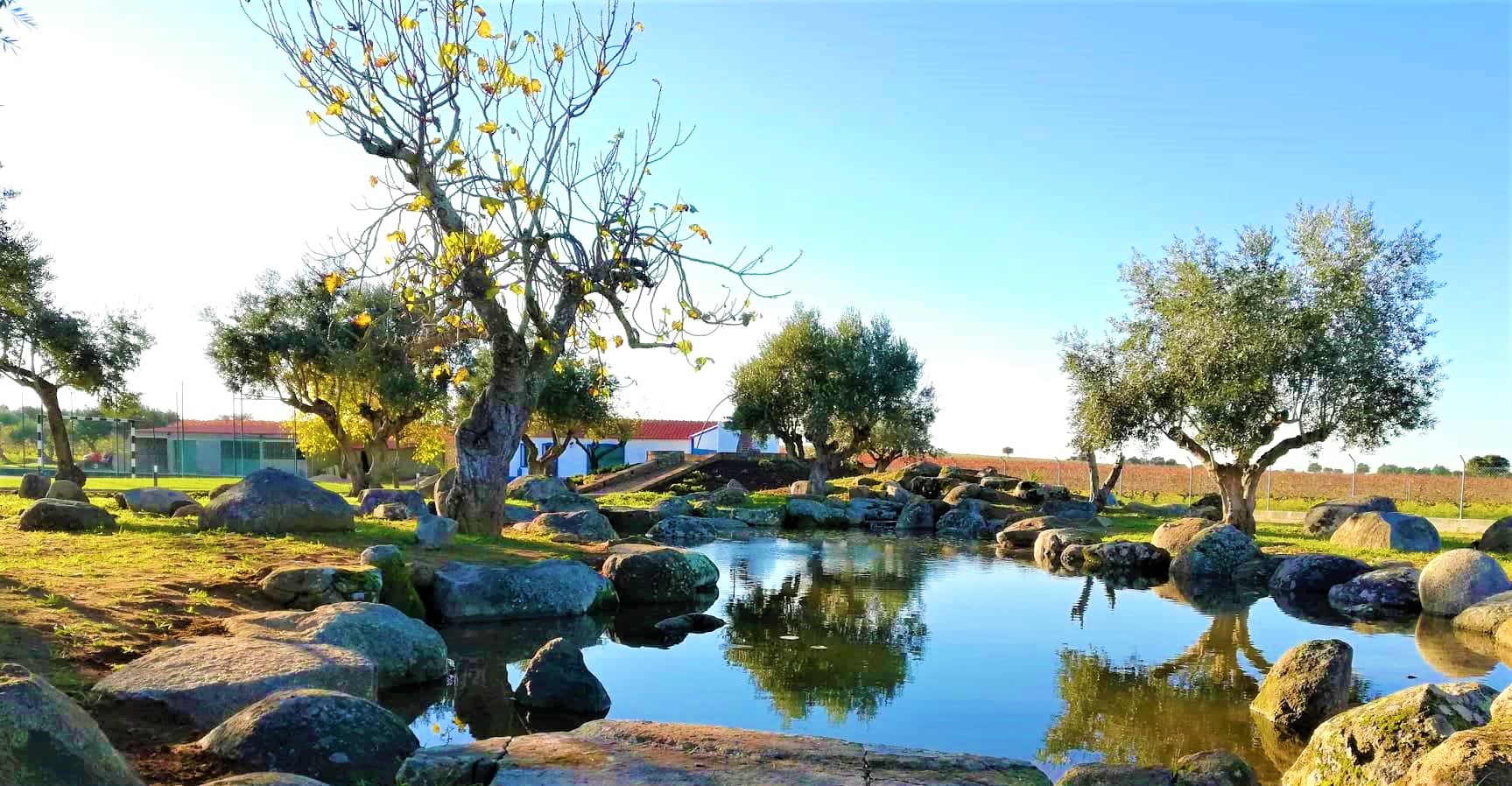 LAGO REGUENGOS DE MONSARAZ