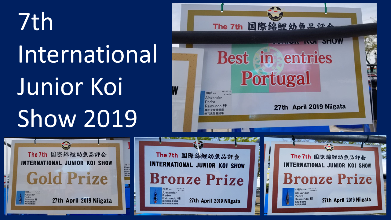 7th International Junior Koi Show - Japan 2019