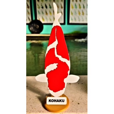 KOI TROFÉU 3D - KOHAKU