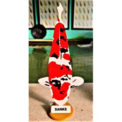 KOI TROFÉU 3D - SANKE KOI TROFÉU 3D - SANKE