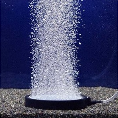 Discos de oxigénio 10 cm Discos de oxigénio 10 cm