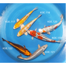 KGE.117-122 MIX YAMAZAKI