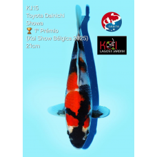 KJ.15 SHOWA - 1º PRÉMIO BKS 2025
