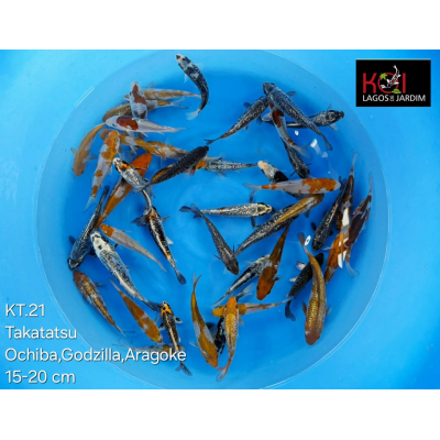 KT.21 OCHIBA / GODZILLA / ARAGOKE