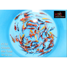 KT.50 OTSUKA MIX